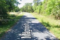 Undeveloped Land for sale in Osceola County, Florida