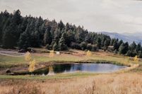 Undeveloped Land for sale in Stevens County, Washington
