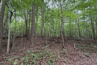 Land for sale in Mecklenburg County, Virginia