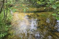 Land for sale in Luce County, Michigan
