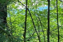 Recreational Property for sale in Gilmer County, Georgia