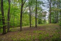 Land for sale in Fannin County, Georgia