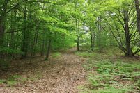 Undeveloped Land for sale in Kalkaska County, Michigan