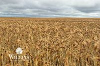 Land for sale in Garfield County, Oklahoma