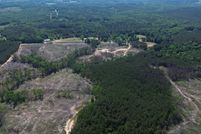 Undeveloped Land for sale in Lamar County, Alabama