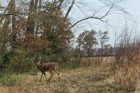 Land for sale in White County, Illinois