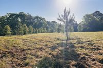 Undeveloped Land for sale in Pike County, Georgia