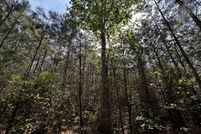 Undeveloped Land for sale in Mathews County, Virginia