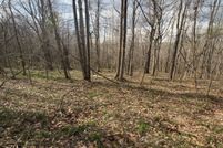 Undeveloped Land for sale in Gallia County, Ohio