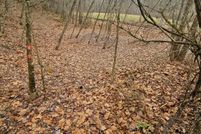 Land for sale in Braxton County, West Virginia