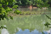 Undeveloped Land for sale in Randolph County, Arkansas