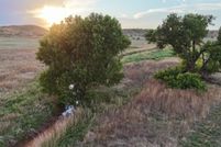 Land for sale in Oldham County, Texas