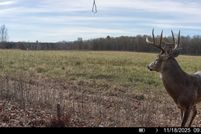 Timberland Property for sale in Saint Croix County, Wisconsin