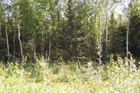 Undeveloped Land for sale in Southeast Fairbanks Borough, Alaska