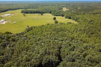 Land for sale in Dinwiddie County, Virginia
