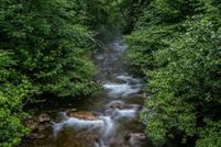 Farm and Ranch for sale in Rockingham County, Virginia
