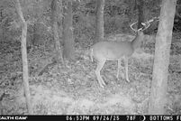Land for sale in Trigg County, Kentucky