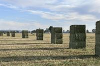 Farm and Ranch for sale in Bingham County, Idaho