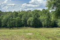 Undeveloped Land for sale in Covington County, Alabama