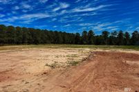 Lakefront Property for sale in Covington County, Alabama