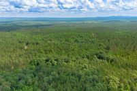 Undeveloped Land for sale in Cleburne County, Alabama