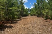 Undeveloped Land for sale in San Augustine County, Texas