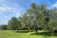Land for sale in Colorado County, Texas