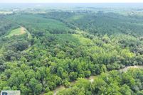 Timberland Property for sale in Henry County, Virginia