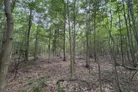 Homesite for sale in Allegan County, Michigan