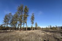 Undeveloped Land for sale in Stevens County, Washington