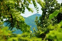 Land for sale in Franklin County, Virginia