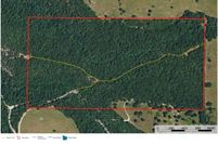 Land for sale in Marion County, Arkansas