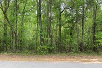 Land for sale in Chattahoochee County, Georgia