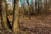 Undeveloped Land for sale in Cobb County, Georgia