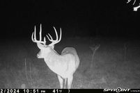 Land for sale in Erath County, Texas