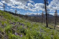 Land for sale in Custer County, Idaho