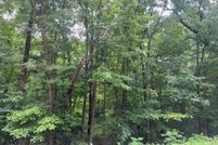Undeveloped Land for sale in Halifax County, Virginia