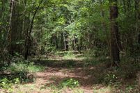 Undeveloped Land for sale in Henry County, Alabama
