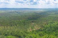 Undeveloped Land for sale in Cleburne County, Alabama