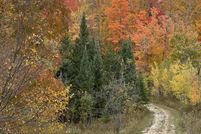 Undeveloped Land for sale in Otsego County, Michigan