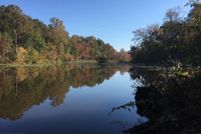 Undeveloped Land for sale in Spotsylvania County, Virginia