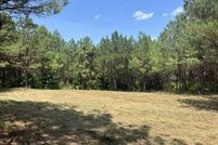 Undeveloped Land for sale in Fayette County, Alabama