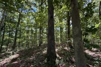 Undeveloped Land for sale in Gallatin County, Illinois