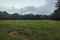 Undeveloped Land for sale in Henry County, Tennessee