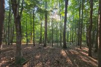 Homesite for sale in Wythe County, Virginia