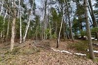 Land for sale in Manistee County, Michigan