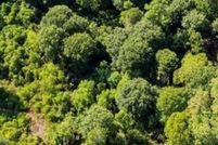 Land for sale in Montgomery County, Texas