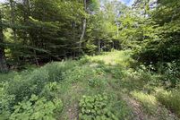 Undeveloped Land for sale in Windham County, Vermont