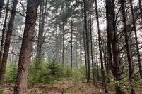 Undeveloped Land for sale in Oscoda County, Michigan