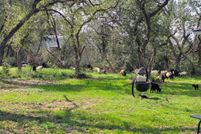 Land for sale in Hays County, Texas